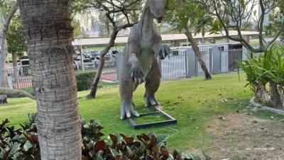 Dinosaur Park