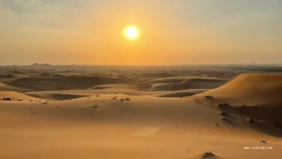 Dubai Desert Conservation Reserve