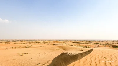 Desert