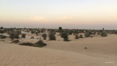 Oasis (الواحات)