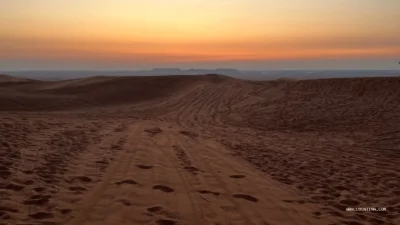 Dubai Desert Conservation Reserve