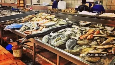 Fish Market