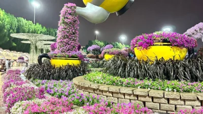 Dubai Miracle Garden (حديقة الزهور)