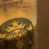 668320bd61398