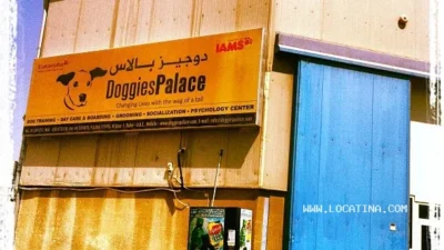 Doggies Palace