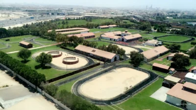 Dubai Horse Stable