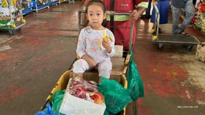 Al aweer central fruit & vegetable market dubai