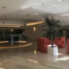 668380ac76732