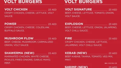 VOLT Burger