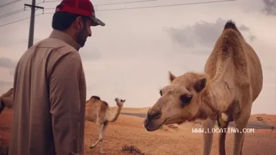 غدير المسند