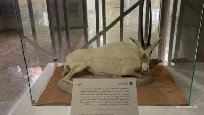 AL Dhaid Wildlife Center (مركز الذيد للحياة الفطرية)