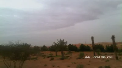 AlDulaima Natural Reserve (محمية الظليما)