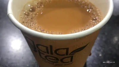 Mustakbil Chai