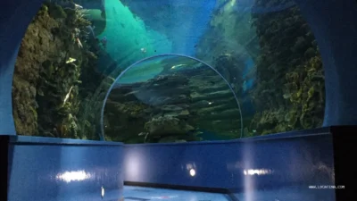 Sharjah Aquarium