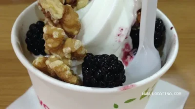 Yogurberry